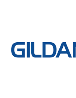 gildan 1