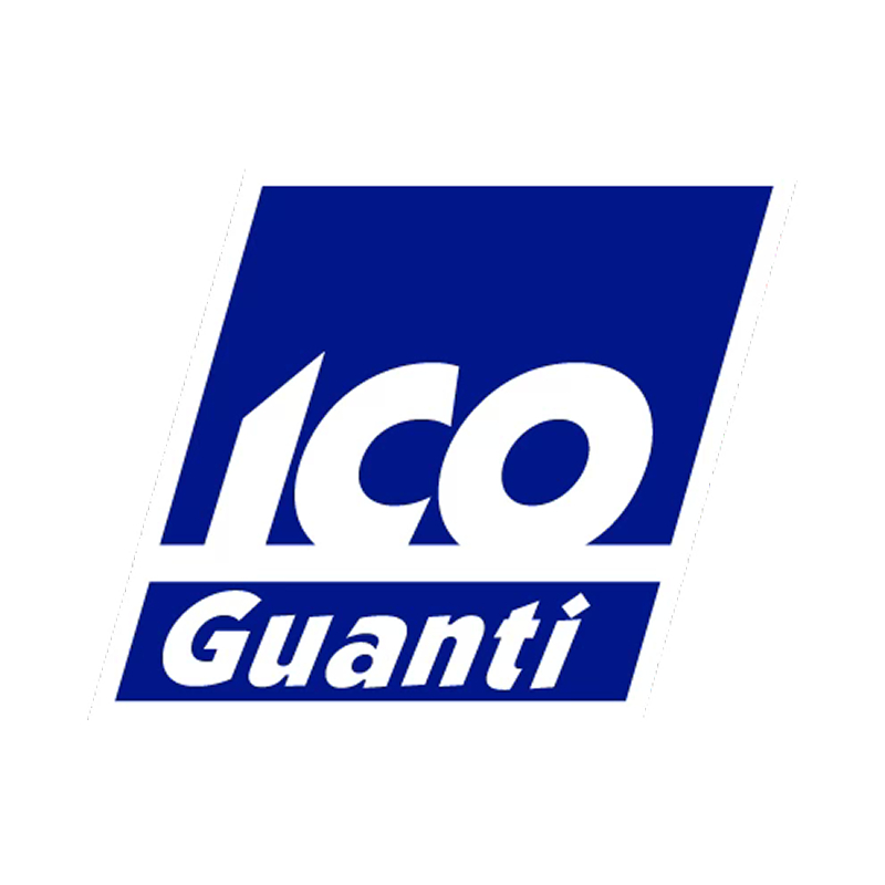 Logo 61